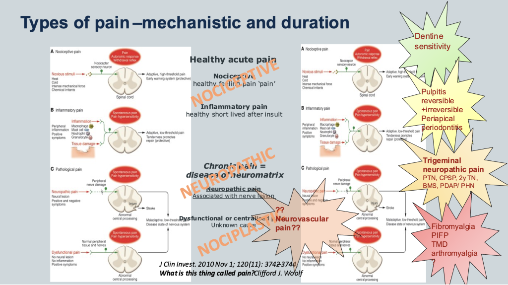 neuropathic-pain-definition-diagnosis-classification-and-assessment