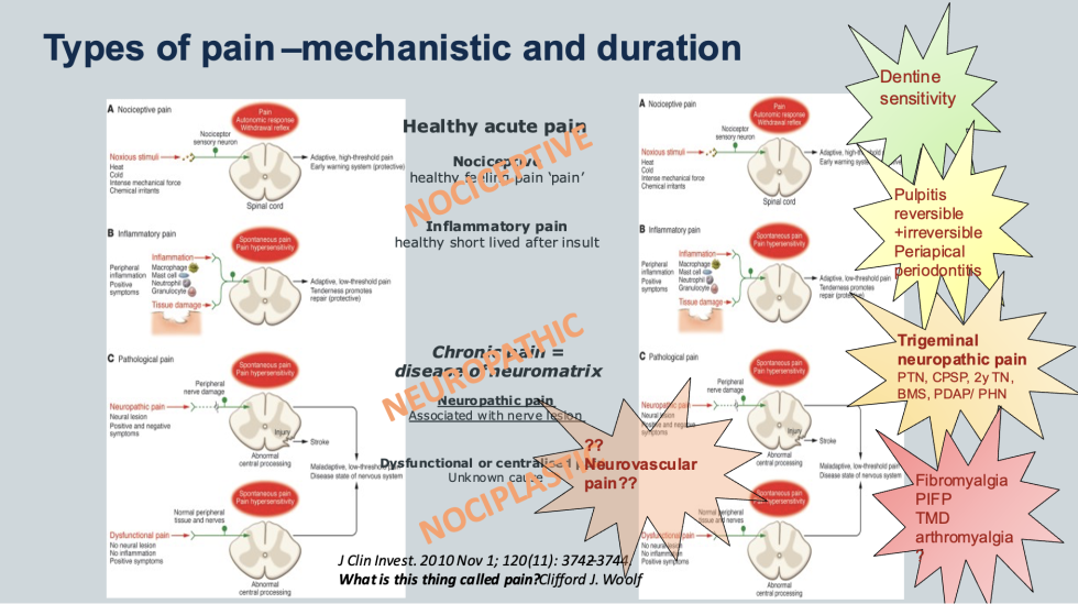 Neuropathic Pain Definition Diagnosis Classification And Assessment 